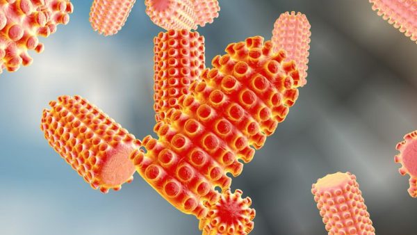 Oxidized Lipids in H2O2 Permeation Through a Lipid Membrane