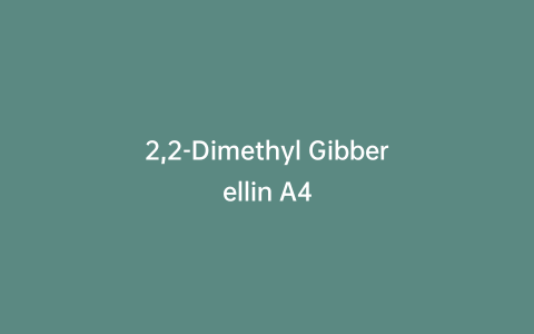 2,2-Dimethyl Gibberellin A4