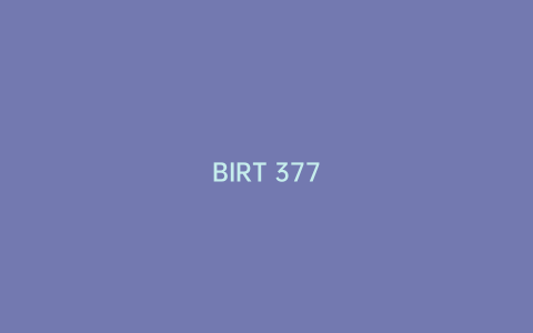 BIRT 377