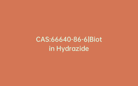 CAS:66640-86-6|Biotin Hydrazide