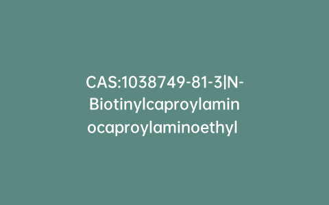 CAS:1038749-81-3|N-Biotinylcaproylaminocaproylaminoethyl Methanethiosulfonate