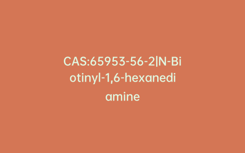 CAS:65953-56-2|N-Biotinyl-1,6-hexanediamine