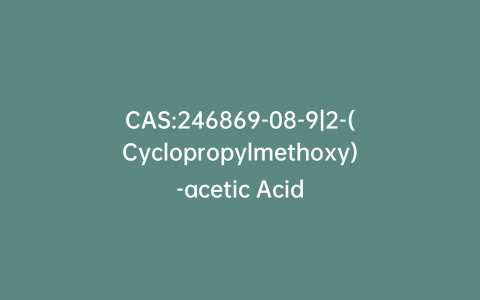 CAS:246869-08-9|2-(Cyclopropylmethoxy)-acetic Acid