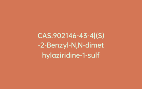 CAS:902146-43-4|(S)-2-Benzyl-N,N-dimethylaziridine-1-sulfonamide