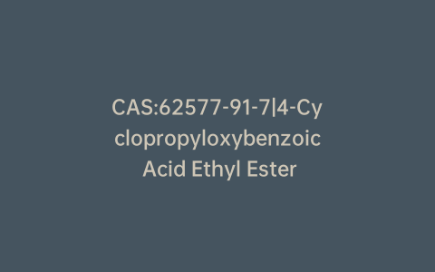 CAS:62577-91-7|4-Cyclopropyloxybenzoic Acid Ethyl Ester