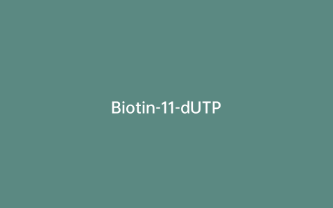 Biotin-11-dUTP