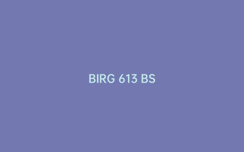 BIRG 613 BS