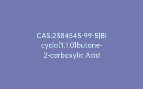 CAS:2384545-99-5|Bicyclo[1.1.0]butane-2-carboxylic Acid