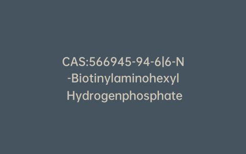 CAS:566945-94-6|6-N-Biotinylaminohexyl Hydrogenphosphate