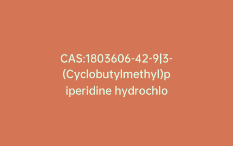 CAS:1803606-42-9|3-(Cyclobutylmethyl)piperidine hydrochloride