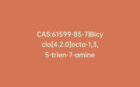 CAS:61599-85-7|Bicyclo[4.2.0]octa-1,3,5-trien-7-amine