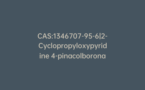 CAS:1346707-95-6|2-Cyclopropyloxypyridine 4-pinacolboronate