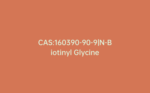 CAS:160390-90-9|N-Biotinyl Glycine