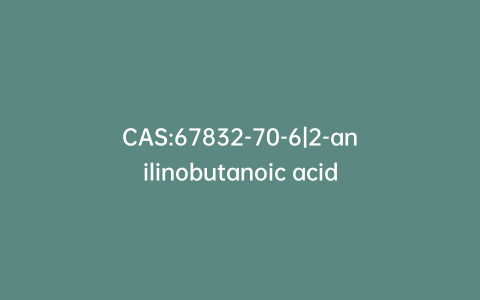 CAS:67832-70-6|2-anilinobutanoic acid