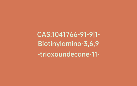 CAS:1041766-91-9|1-Biotinylamino-3,6,9-trioxaundecane-11-bromide