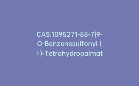 CAS:1095271-88-7|9-O-Benzenesulfonyl (±)-Tetrahydropalmatrubine