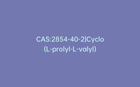 CAS:2854-40-2|Cyclo(L-prolyl-L-valyl)