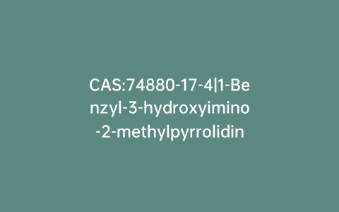 CAS:74880-17-4|1-Benzyl-3-hydroxyimino-2-methylpyrrolidine