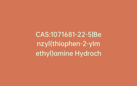 CAS:1071681-22-5|Benzyl(thiophen-2-ylmethyl)amine Hydrochloride