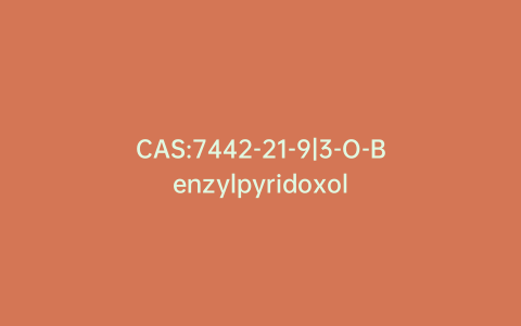 CAS:7442-21-9|3-O-Benzylpyridoxol